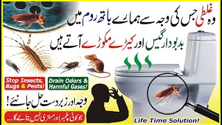 Remove Sewerage Smell Harmful Gases amp Insects From Bathroom Technical Solution of Drain Odor amp Bug [upl. by Vod]