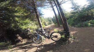 Seabrook WA MTB trails on a Luna X2 EMTB [upl. by Notlrahc]