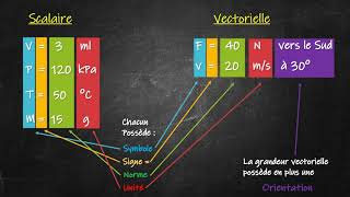 Grandeurs scalaires et vectorielles [upl. by Elissa]