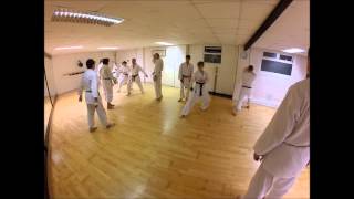 Hombu Dojo Webinar  Chinte amp Bunkai [upl. by Noyahs]