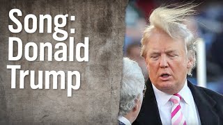 DonaldTrumpSong  extra 3  NDR [upl. by Alvina234]