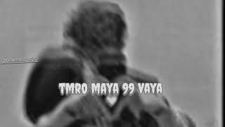 Timro maya 99 Bhaye Mero Mero Maya 100  Purna Rai  Lyrics video [upl. by Emsmus]