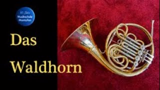 Waldhorn  Instrumentenvorstellung [upl. by Janeta533]