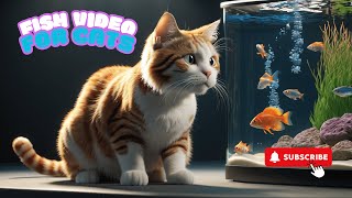 Cat Videos  Fish On Screen for Cats 🐾🐱 [upl. by Klotz415]