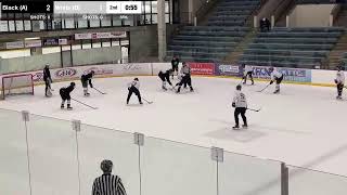 Rochester Fall Hockey League Live Stream B game [upl. by Hodgkinson855]