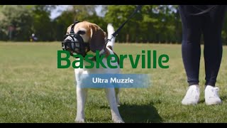 New Baskerville Ultra Muzzle How to Use and Fit [upl. by Inalawi]