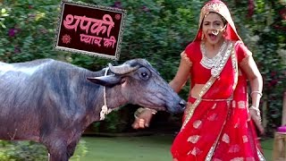 Thapki Gets Scared Of A Buffalo  Thapki Pyar Ki  थपकी प्यार की  TellyMasala [upl. by Seroled]