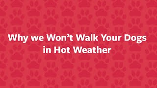 Why we Wont Walk Your Dogs in Hot Weather [upl. by Silverman]