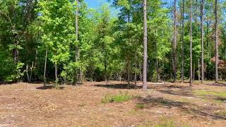 Lot 17 Pine Preserve Ln Pace FL  405 AC  Mulched Homesite [upl. by Iznek802]