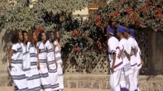 Zinash Lolee OBBOLEE SHAAYII New oromo music 2015 [upl. by Barnie]