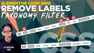 Hide Filters but Dont Exclude from Elementor Loop Grid [upl. by Nichola]