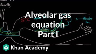 Alveolar gas equation  part 1  Respiratory system physiology  NCLEXRN  Khan Academy [upl. by Iemaj]