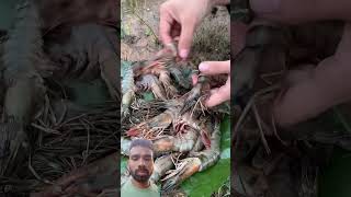 Survival Skills SIMPLE and USEFUL with lobstercamping survival bushcraft outdoors [upl. by Alyahs]