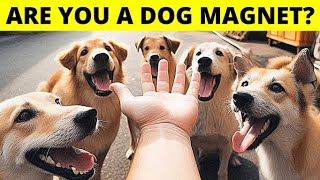 10 Secret Reasons Why You’re a True Dog Magnet [upl. by Ahsitnauq351]