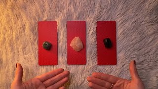 ASMR Timeless Tarot Reading Pick a Pile 🌻🐈‍⬛ [upl. by Hasila264]