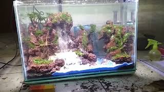 Air terjun undergravel filter aquascape pemula [upl. by Barthol]