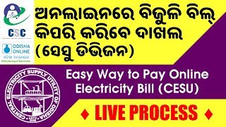 Odisha Pay Electricity Bill Online ବିଜୁଳି ବିଲ୍ ଅନଲାଇନରେ ଦାଖଲ କରନ୍ତୁ  Full Process in Odia [upl. by Eidnalem]