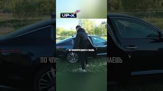 Чпокопригодность в Kia Stinger🤣авто automobile юмор прикол михеевипавлов автообзор [upl. by Sigler814]