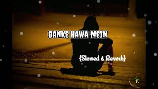 BANKE HAWA MEIN slowed amp reverb lofi song [upl. by Nebra]