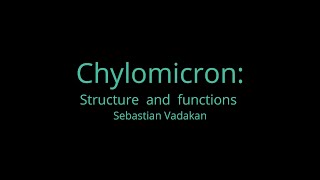 Chylomicron Structure and Functions [upl. by Lucrece]