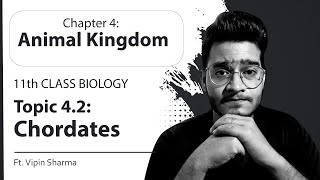 Topic 42 Chordates Urochordate Cephalochordate amp Vertebrate  Animal Kingdom11th Class Biology [upl. by Nellek]