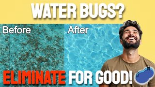 How To Get Rid Of and Keep Water Bugs Out of Your Pool [upl. by Nawrocki]