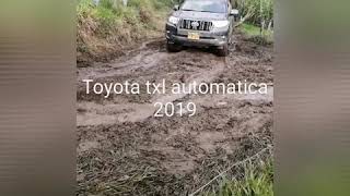 Toyota txl 2019 automática vs toyota fortuner mt 4000 gasolina mecanica [upl. by Farly]