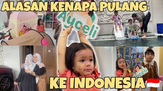 ALASAN KENAPA KAMI PULANG KE INDONESIA [upl. by Ydneh]