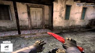 CSGO  Teamkilling of Progamers 2014 [upl. by Aleck435]