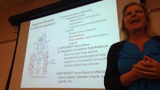 homeostasis and thermoregulation 2019 part 2 [upl. by Mallin]