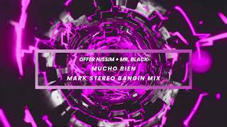 Mucho Bien  Mark Stereo Bangin Mix [upl. by Attenor]