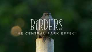 Birders The Central Park Effect  Official Trailer [upl. by Sakiv540]