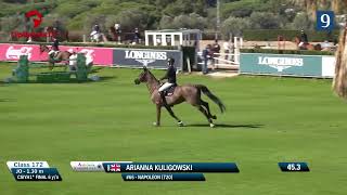 Napoleon Arezzo VDL 6yo Final Sunshine Tour [upl. by Sylvan517]