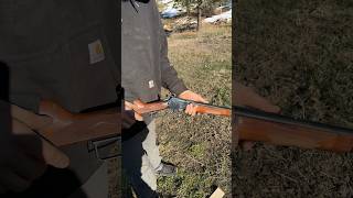 450 marlin lever gun vs helium tank [upl. by Linson]