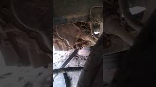 EON CAR KA GHAR OIL KAISE CHANGE KARE EON GADI KI SERVICE HOW TO CHANGE GEAR OIL HYUNDAI EON [upl. by Rebmit138]