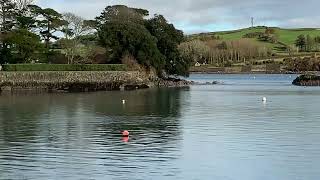 Castletownhend Castle and Slipway fishing and boating spots CO Cork Ireland 🇮🇪 🇮🇪🇮🇪🇮🇪🇮🇪 [upl. by Atinel]