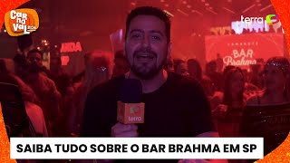 Carnaval 2024 Repórter mostra como é dentro do Camarote Bar Brahma [upl. by Arleen]