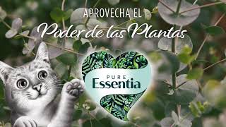 Sanicat Pure Essentia [upl. by Ecyla]