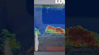 Lowrance Hook Reveal 7 [upl. by Tuttle]