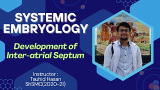 Development of InterAtrial Septum  Atrial Septal Defects ASD  Hand drawn Visualization Bangla [upl. by Anayad251]