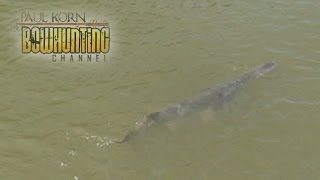 Bowfishing for Paddle Fish on the Missouri River Gavins Point Dam see how close to Spoonbill [upl. by Fabri832]