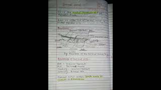 Notes Femoral Canal  Anatomy First year [upl. by Mauve]