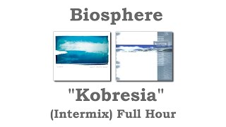 Biosphere  Kobresia Intermix Full Hour [upl. by Keisling498]