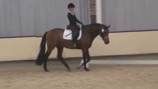 CHAMPAGNER Catoo x Aljano  30TageTest MünsterHandorf 2014 [upl. by Denzil232]