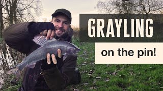 A Day of Winter Grayling Fishing in Hampshire UK  UK Fishing Video [upl. by Fidele911]