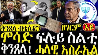 Dasna Tv  እዋናዊ ዛዕባ  ሞሳድ ፍሉይ ስልቲ ቅንጸላ  11082024 [upl. by Nauqas795]