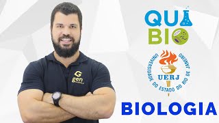 UERJ 2003  Exame de Qualificação  O esquema a seguir representa as duas principais etapas da [upl. by Telfore]