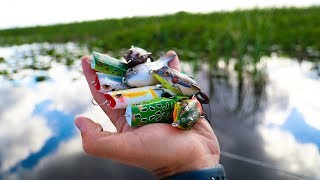 Do Bass Eat Frogs In WINTER Topwater blowup  Jiggin With Jordan [upl. by Eico285]