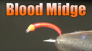 Blood Midge Fly Tying  Great Winter For Fly Fishing  Simple Easy Beginner Fly Tying [upl. by Picker999]