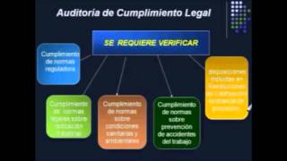 Auditoria Ambiental [upl. by Arinay]